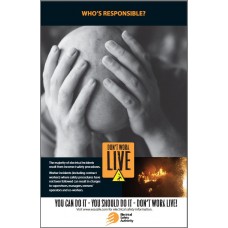 Whos Is Responcible Poster